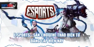 E Sports - Sân Chơi Thể Thao Điện Tử Đẳng Cấp Hiện Nay